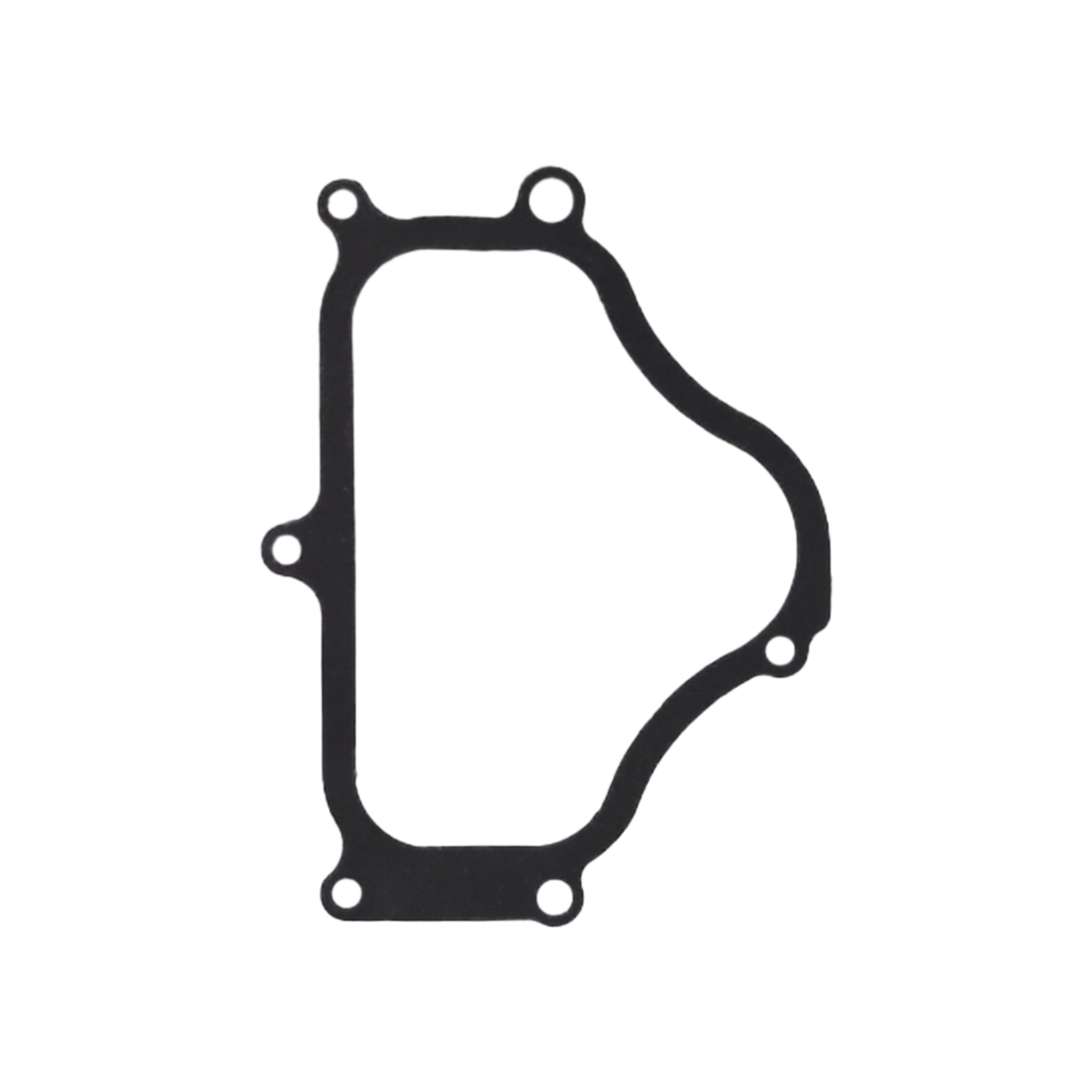 Cylinder Head Gasket 11127566281 for BMW F10