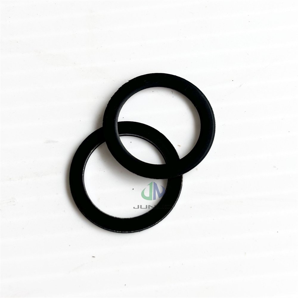 Genuine AUCAN Diesel Engine Parts Vacuum Pump Seal Gasket PV10005792