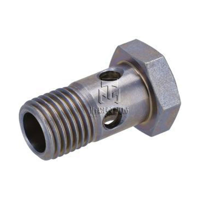 02937881 01119246 Hollow Screw Compatible With F3L/4L/2011 D2011L4 TCD21011L4 and BF4M2011 Engines