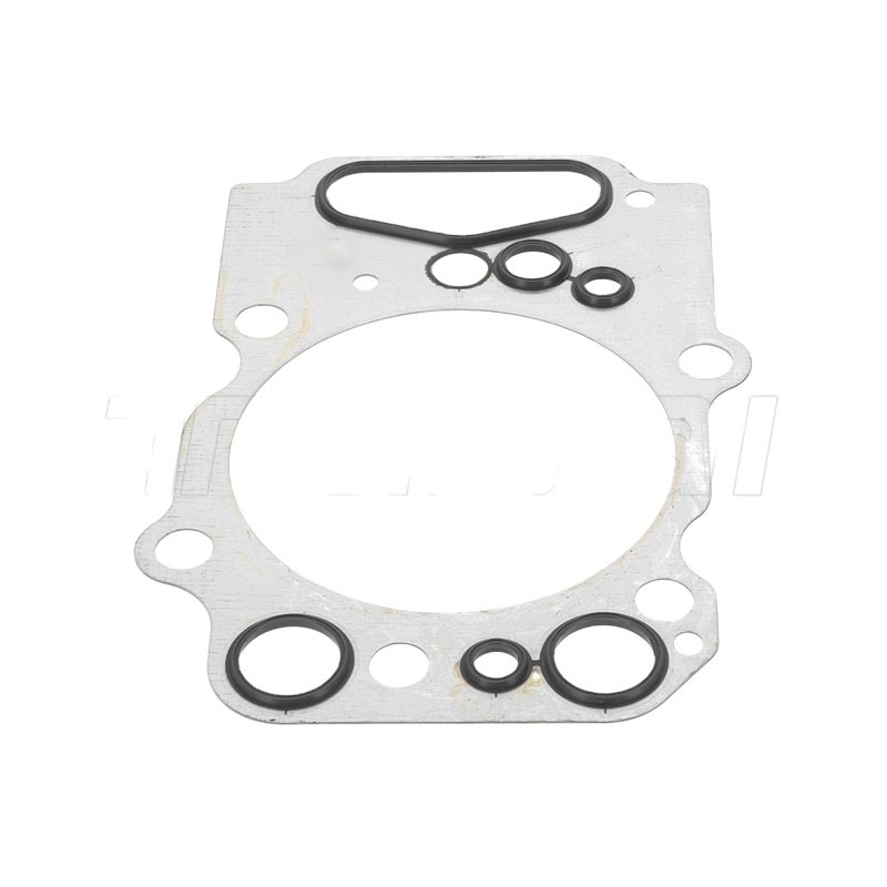 Cylinder Head Gasket for Engine Gasket Oem 1403608 1468555 1892765 1893054 1912568 1893054