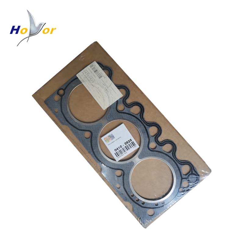 0410 3925 04103925 Diesel Engine Parts Cyinder Head Gasket for Deutz 2012 2011