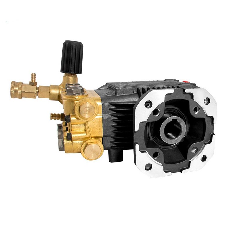 DANAU 3000PSI 206BAR Affordable Electric Connecting Rod Plunger Pump Axial Pump Vertical