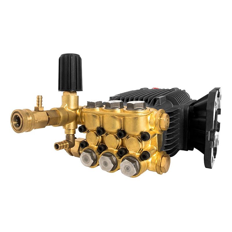 DANAU 3000PSI 206BAR Affordable Electric Connecting Rod Plunger Pump Axial Pump Vertical