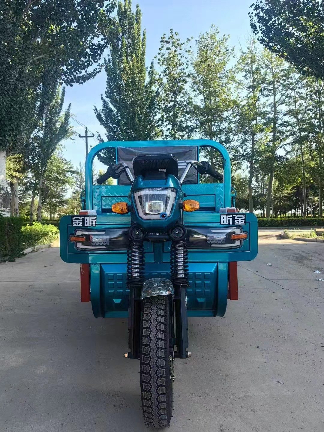 Three wheeled tricycle three wheeled motorcycle adult electric three wheeled tire motorcycle cargo 1200W adult
