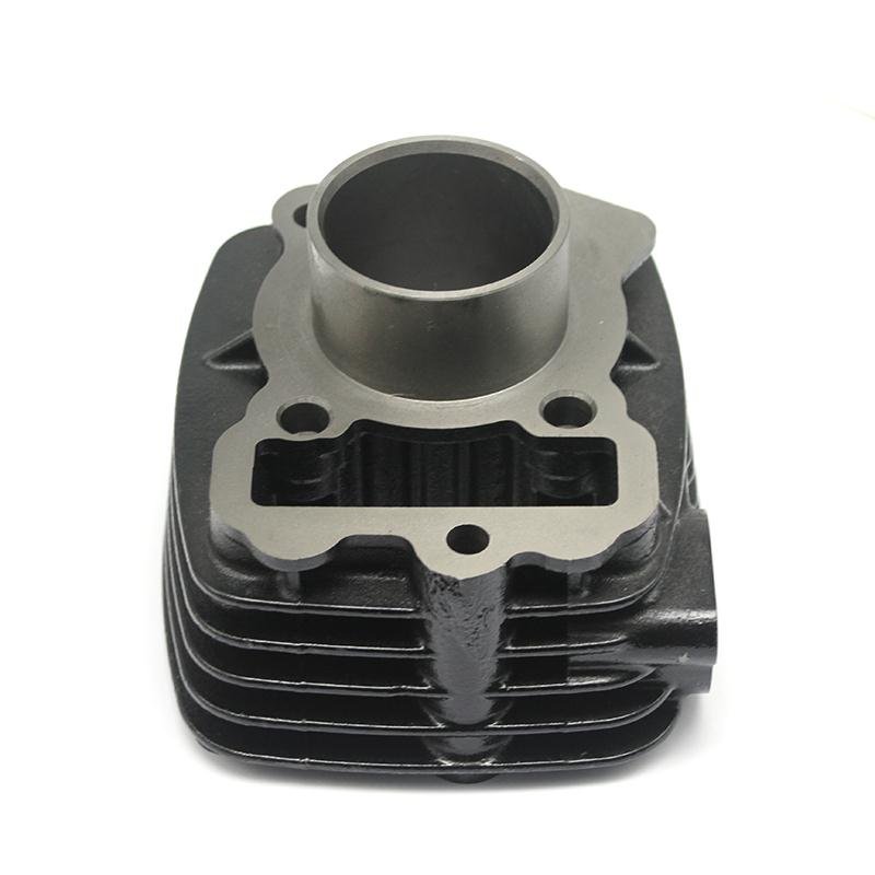 Factory Wholesale Motorcycle 47MM OEM No: DTS-I-100P-001 Cylinder Block for Boxer BM100 Discover 100 Platina 100