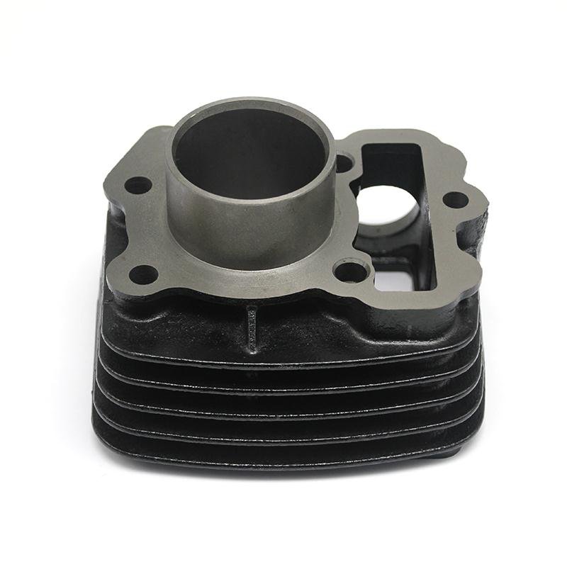 Factory Wholesale Motorcycle 47MM OEM No: DTS-I-100P-001 Cylinder Block for Boxer BM100 Discover 100 Platina 100