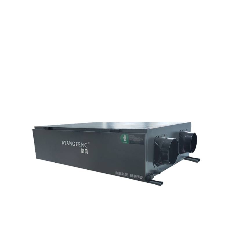 Oxygen wind exchanges fresh air dehumidification integrated machine system Ceiling central pipeline villa basement basement