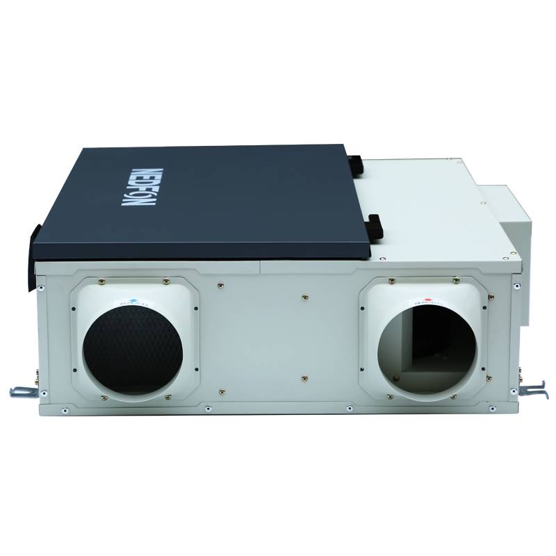 Green Island Wind Central Frozen System Furnishing Commercial Purifying Hog and Division Full Hot Exchange Double Fresh Finth Frozen Venture Machine
