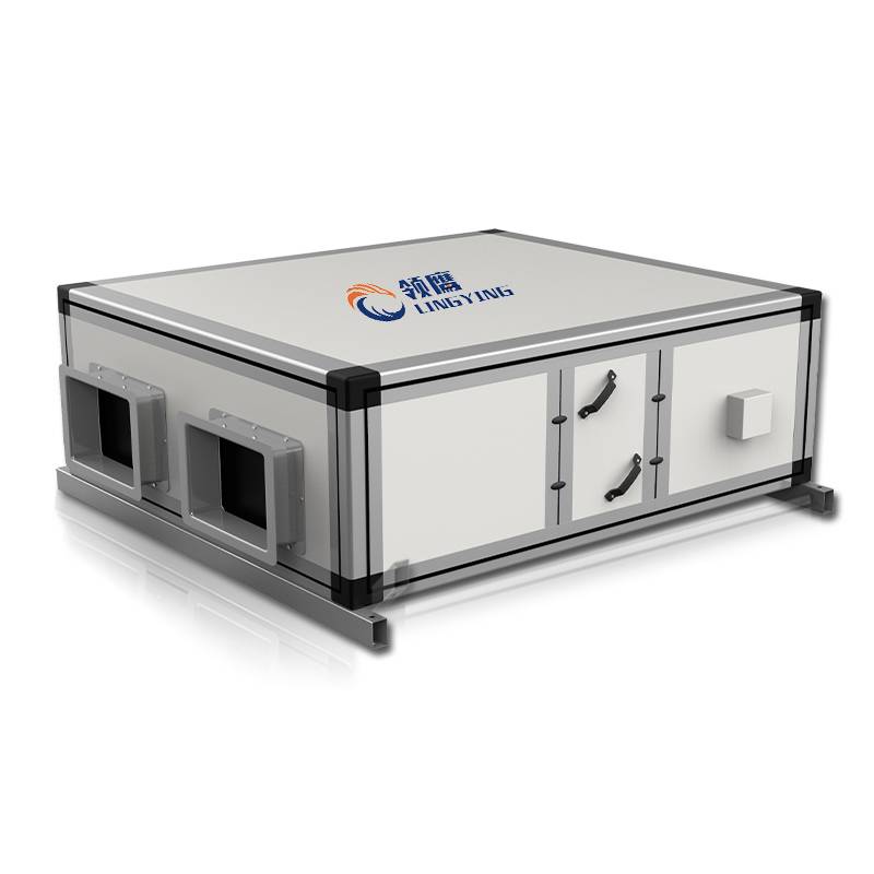 Two -way flow commercial filtration integrated ceiling -type full thermal switching mute fresh air system full house indoor air replacement machine
