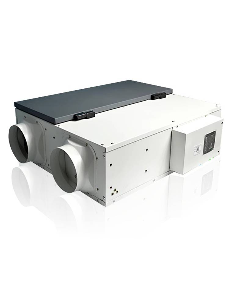 Green Island Wind Central Frozen System Furnishing Static and Light Sound Film Exchange Fresh Fans Commercial Purifying Double Puritors