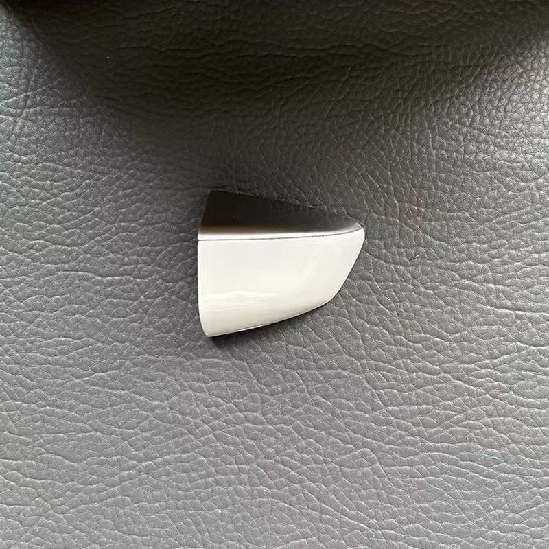 IT'S FOR THE BOVOL BX5BX7 CAR OUTSIDE THE DOOR