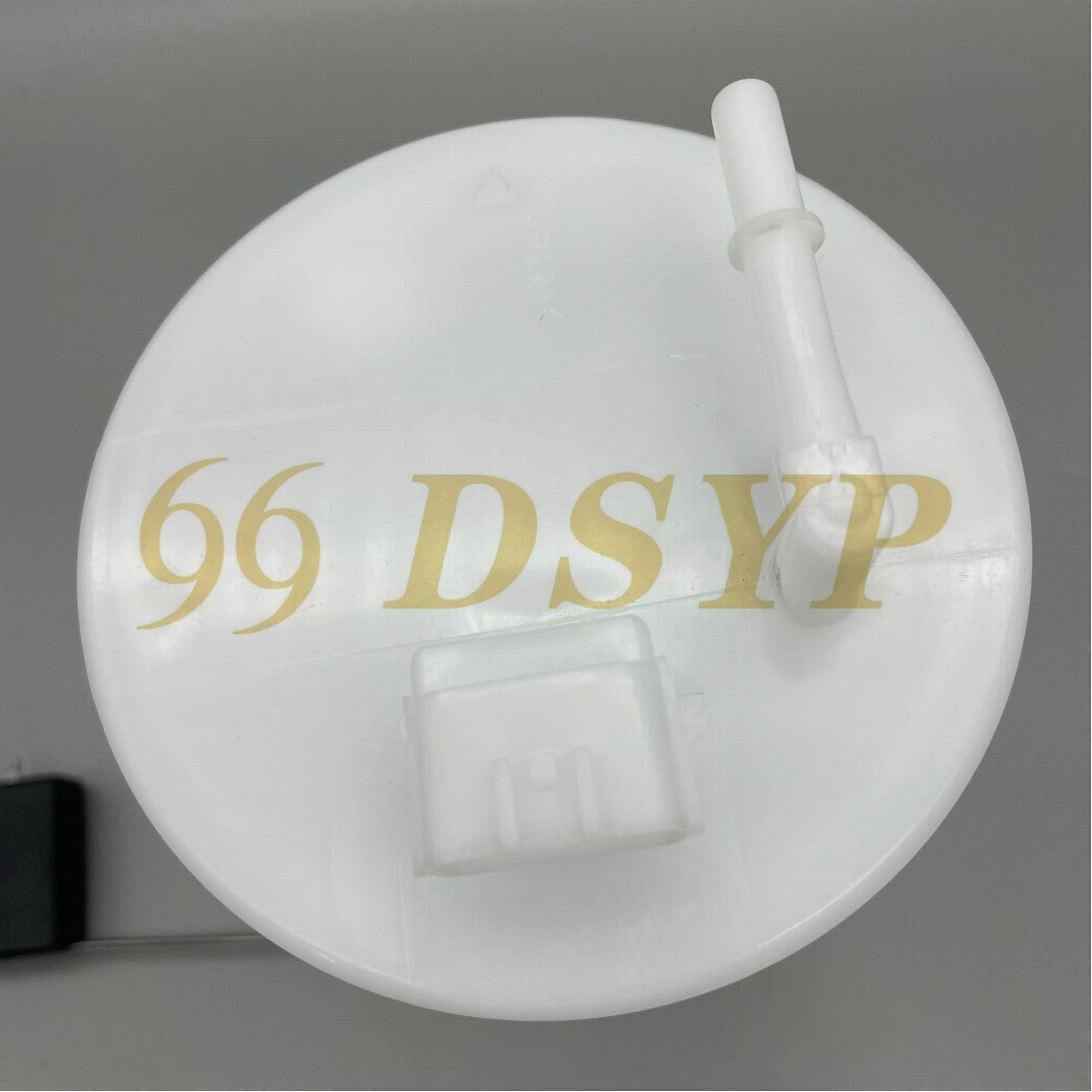 DSYP ZCNS001E Auto Parts Fuel Pump Assembly 17040-3DN0B-C176 For Nissan SYLPHY 1.6/1.8T 12-16