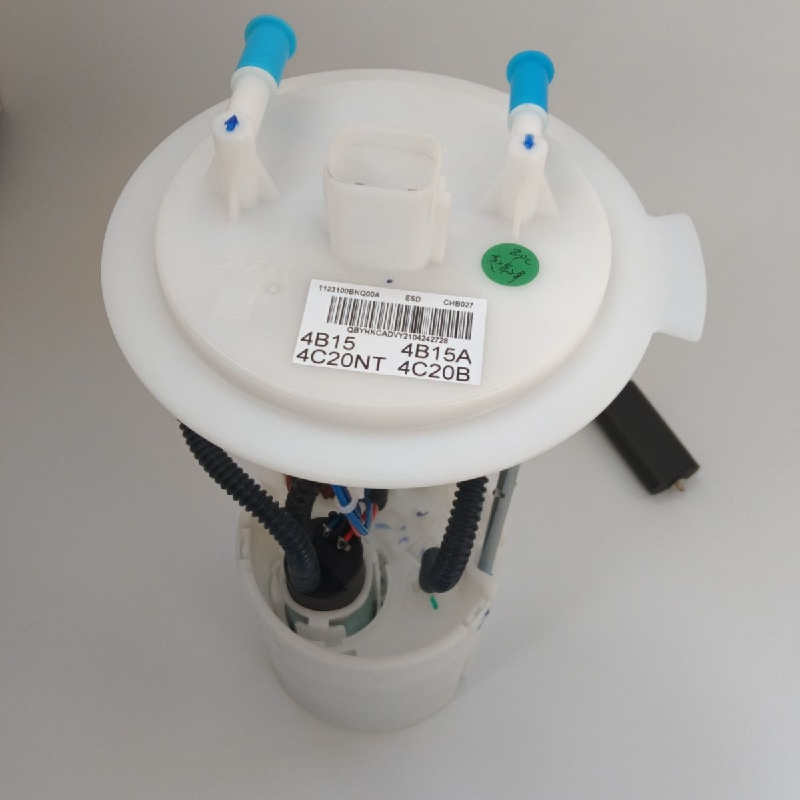 JX736 China Auto Accessories 1123101XGW01A Fuel Pump Assembly for CC6470-Great Wall GWM Hover Haval H6 Third Generation