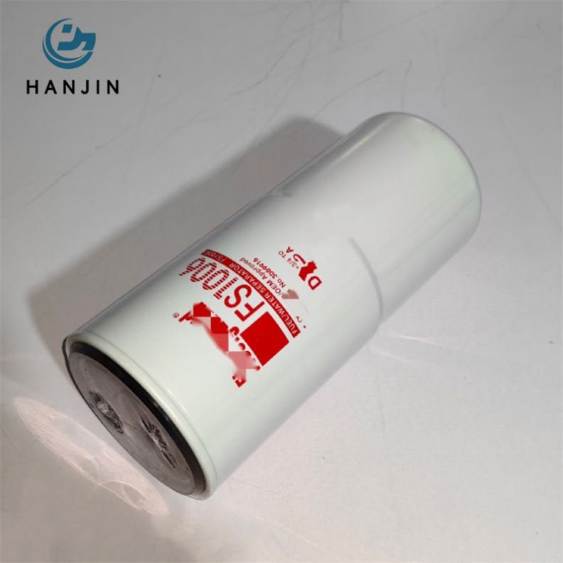 Made in China strainer fuel pump filter 3089916 4095189 FS1006 Fuel Water Separator Filters