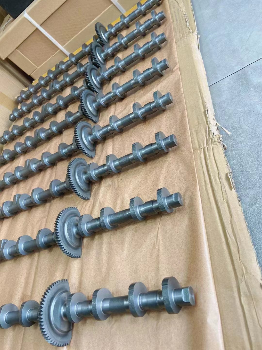 11318575436 1131 8575 436 11 31 8 575 436 Engine Camshaft for Camshaft Exhaust Combined-BMW N47-B47-2006-2015Y