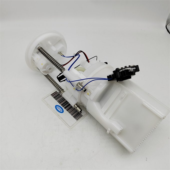 WLBTR China Car Spare Parts Fuel Pump Assembly 16117195463 For BMW X5 E70 2006-2013