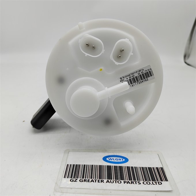 WLBTR China Car Spare Parts Fuel Pump Assembly 16117195463 For BMW X5 E70 2006-2013