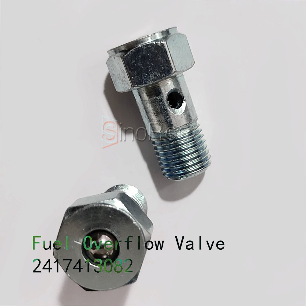 Promotion Fuel Overflow Valve 2417413082 for engine oil pump overhaul and fuel gasket kit replace