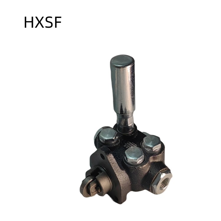 Truck Engine Spare Parts High Quality Oil Transfer Pump P10 for Shacman Oil transfer pumps 80305