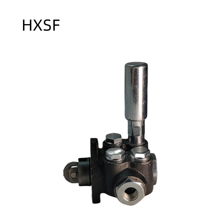 Truck Engine Spare Parts High Quality Oil Transfer Pump P10 for Shacman Oil transfer pumps 80305