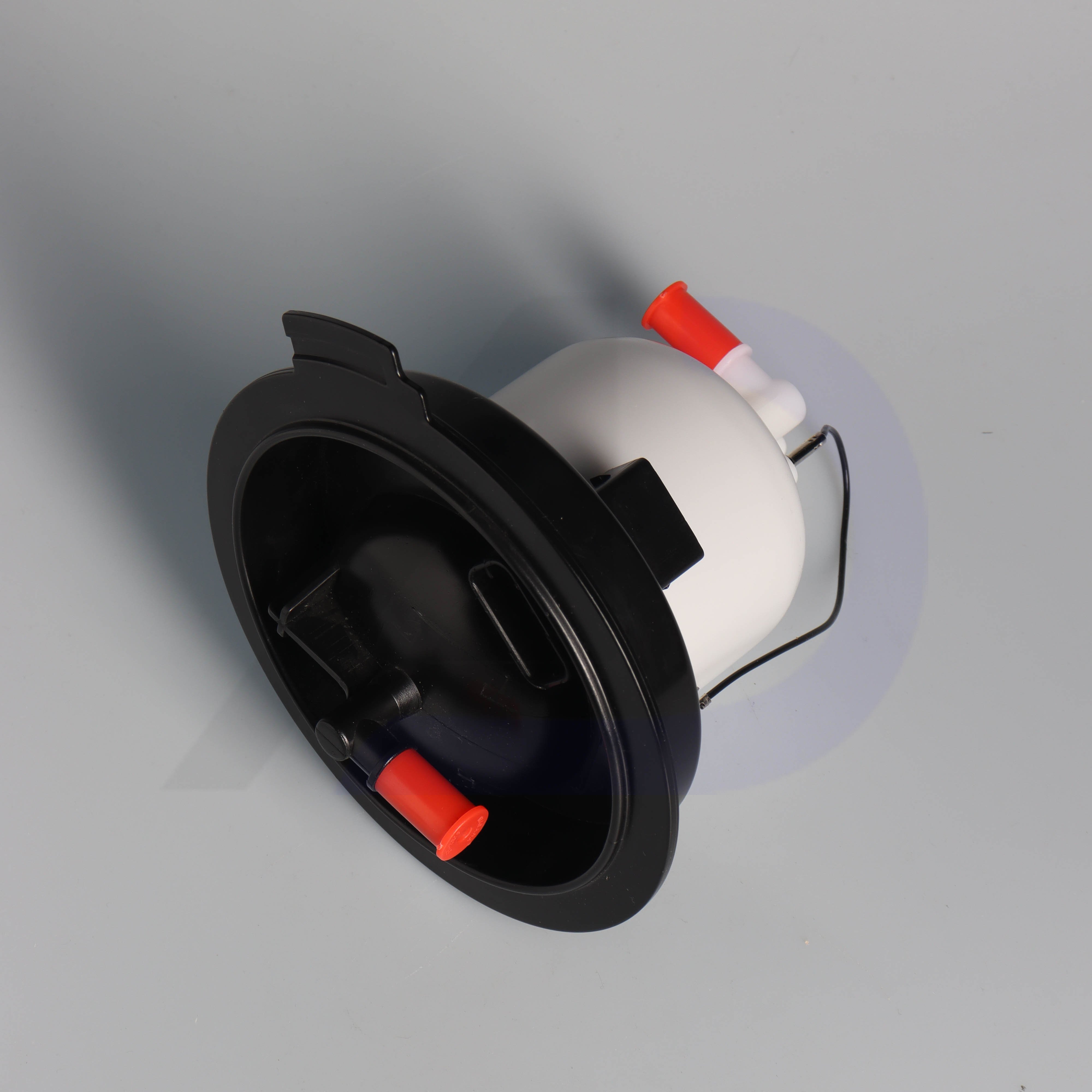 Auto Parts OEM 97020142400/97020142403 Fuel Pump Assembly For Porsche Panamera(AJD-E31000)