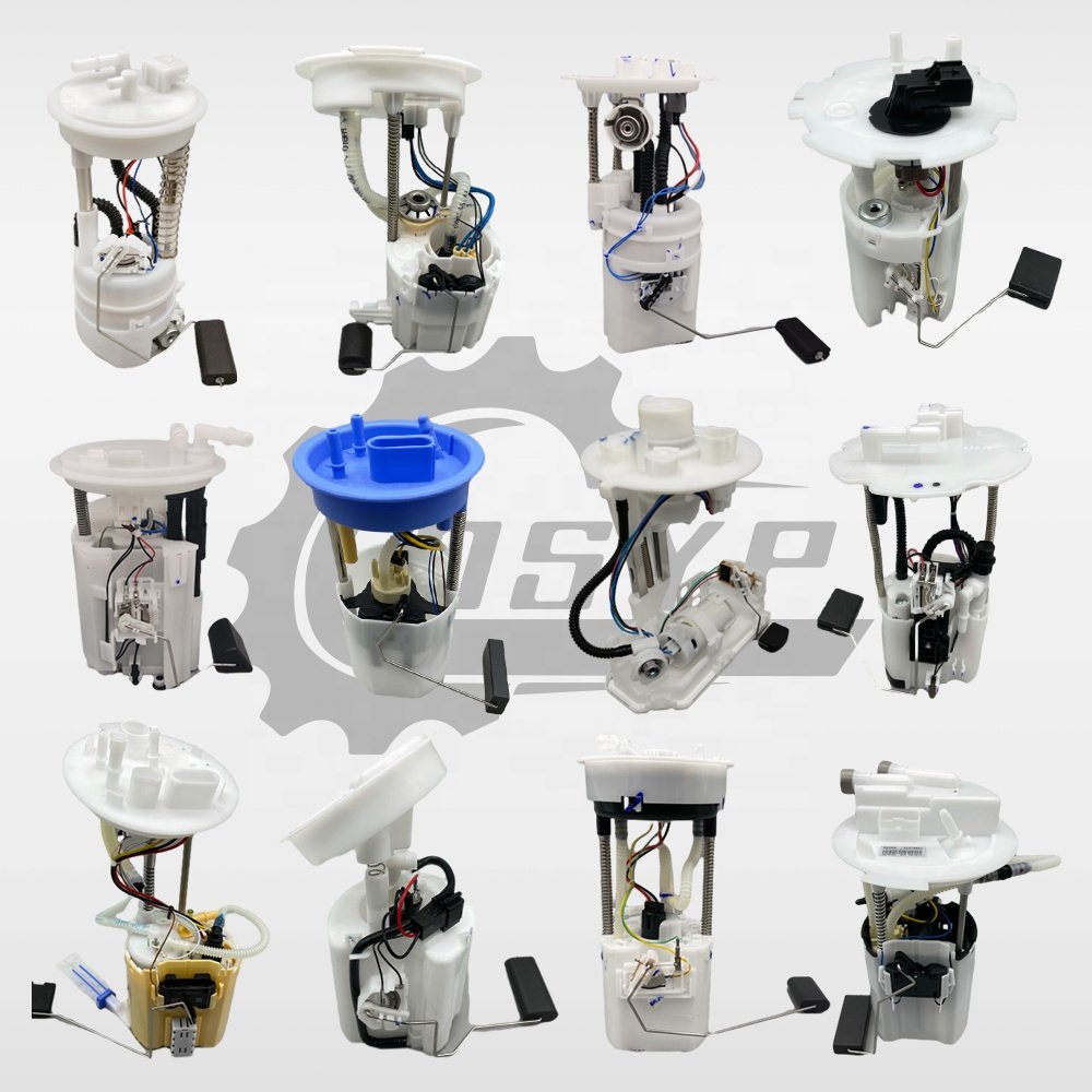 DSYP Auto Parts Fuel Pump Assembly For Hyundai Toyota Honda Nissan VW Audi Benz BMW Ford Chevrolet Mitsubishi Mazda