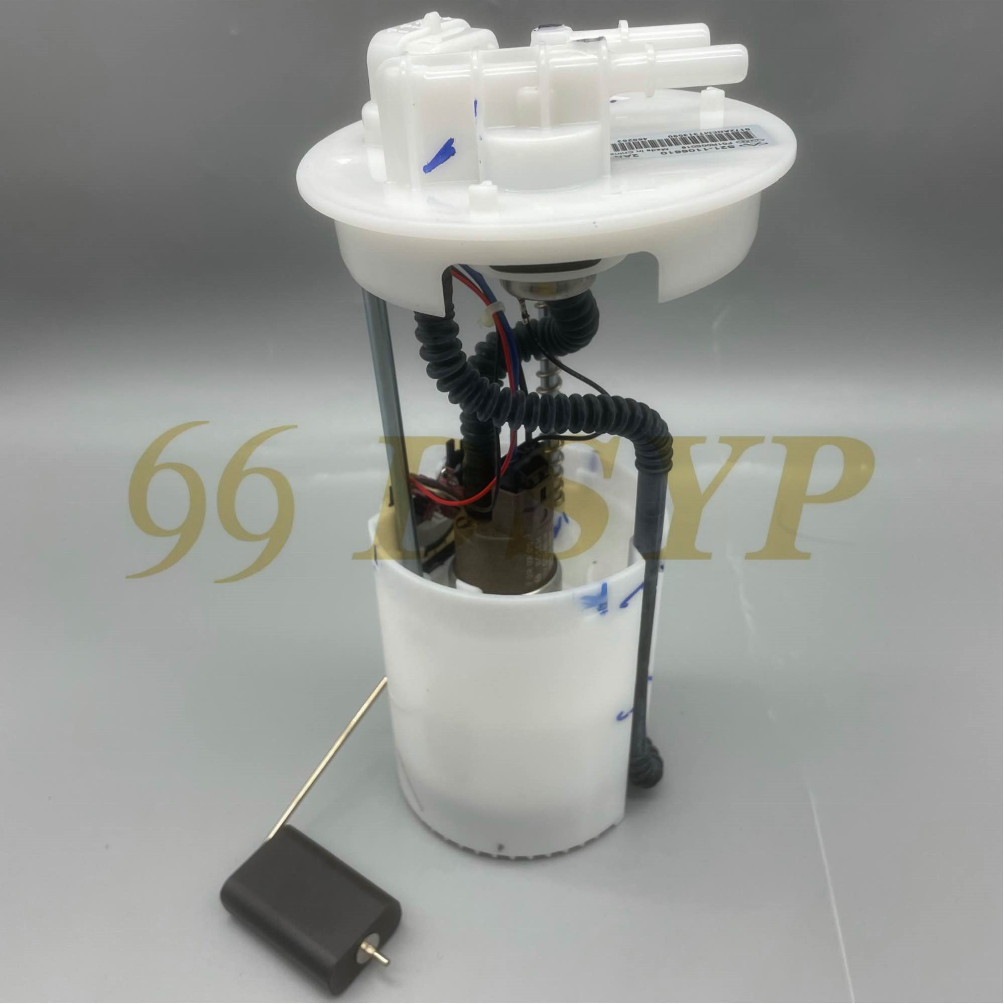 DSYP ZCQR002A Auto Parts S21-1106610 Fuel Pump Assembly For Chery QQ6 KERRY COWIN 1