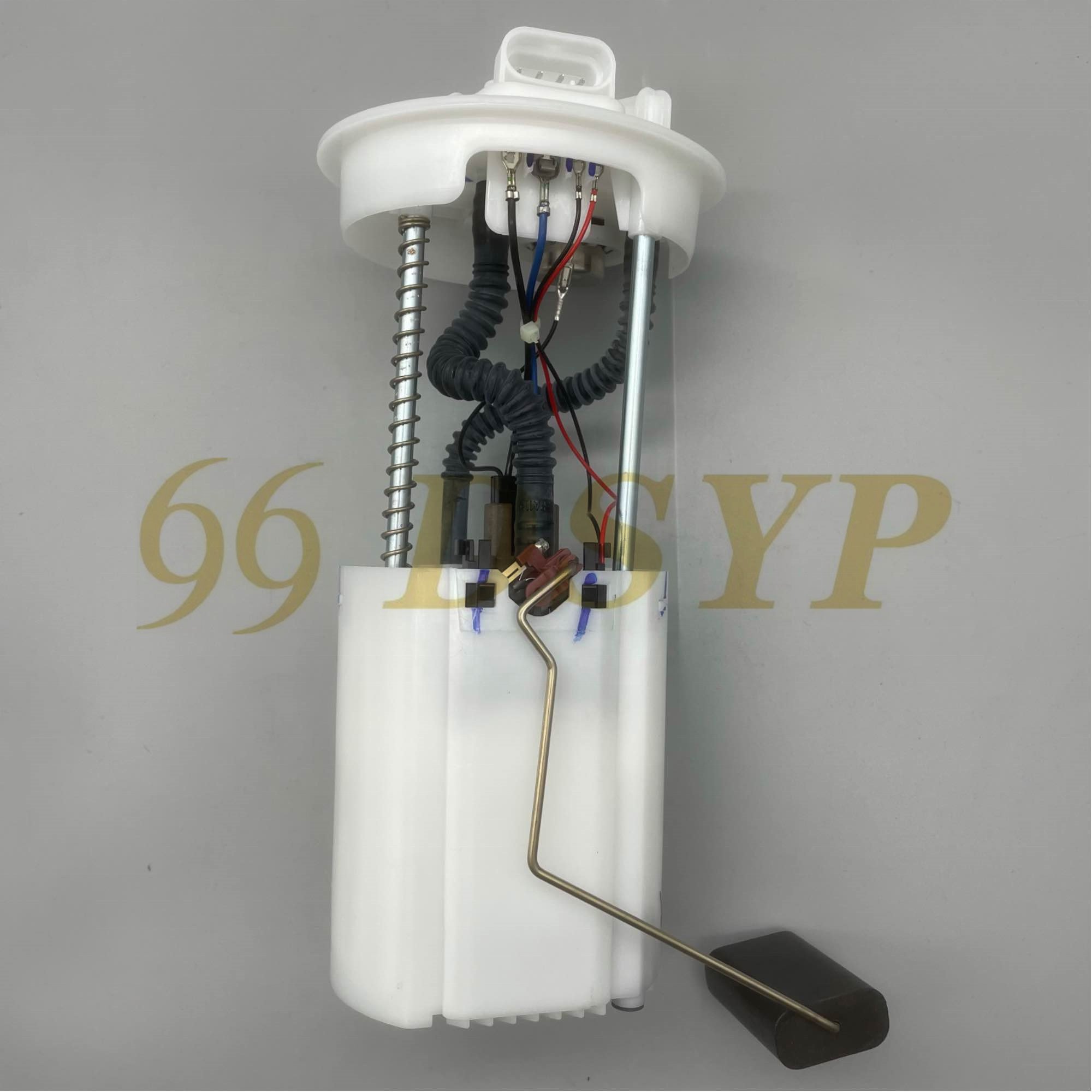 DSYP ZCQR002A Auto Parts S21-1106610 Fuel Pump Assembly For Chery QQ6 KERRY COWIN 1