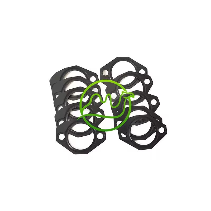 VE Fuel Pump Metal Gasket F01M100055 F 01M 100 055