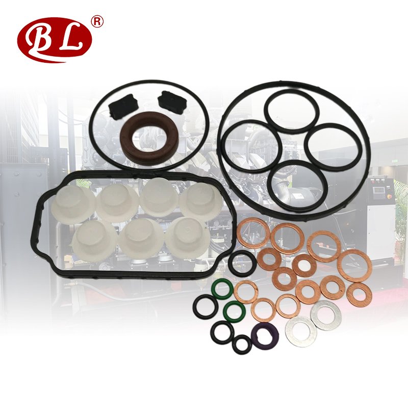 Ve Pump Repair Kit Gasket Set for - 1467 010 059, 146600-1120