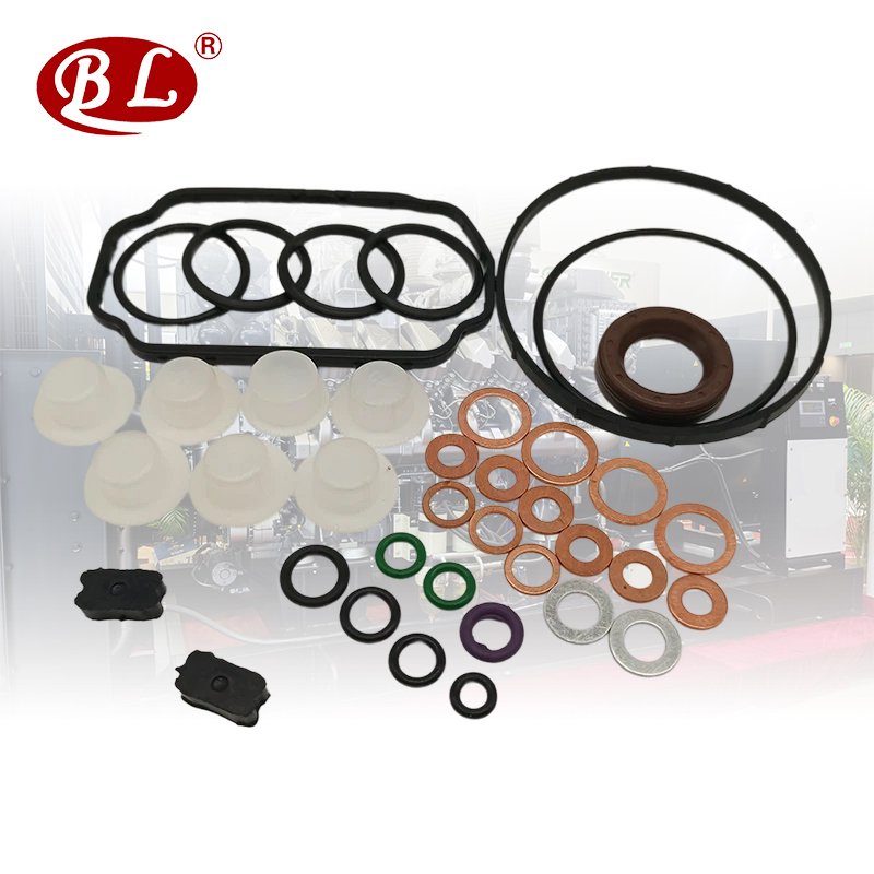 Ve Pump Repair Kit Gasket Set for - 1467 010 059, 146600-1120