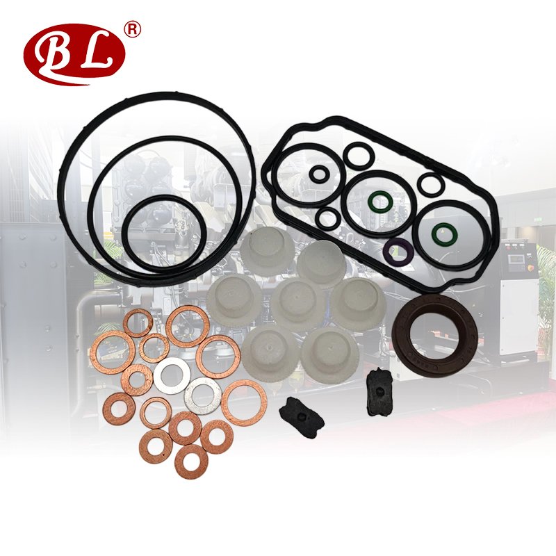 Ve Pump Repair Kit Gasket Set for - 1467 010 059, 146600-1120