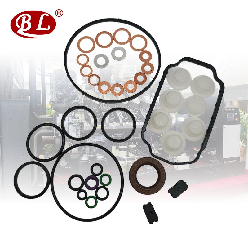 Ve Pump Repair Kit Gasket Set for - 1467 010 059, 146600-1120