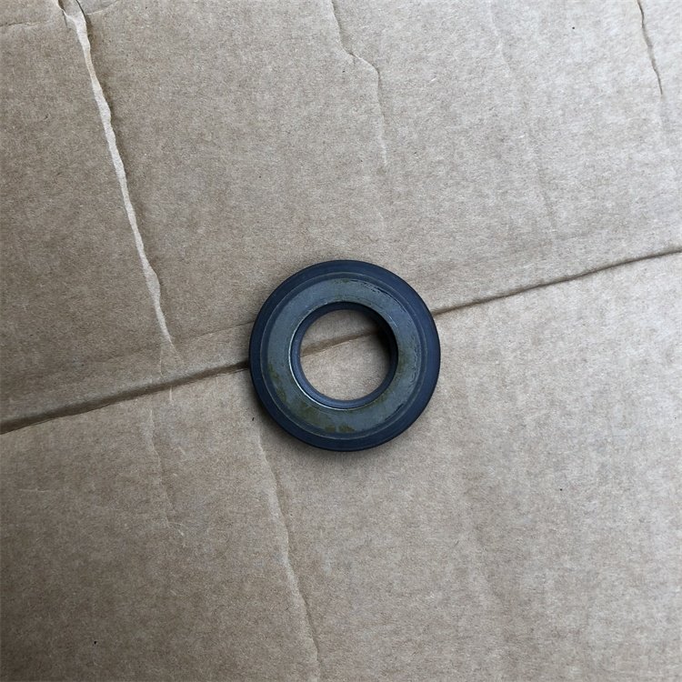 Diesel engine parts engine fuel pump oil seal K19 QSK19 KTA19 3075523 3803615
