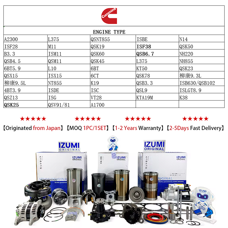 IZUMI ORIGINAL QSK60 4307244-BH30 fuel pump 4307244 4088186 4062059 4009883 4001694 3417296 4903532 engine for Cummins