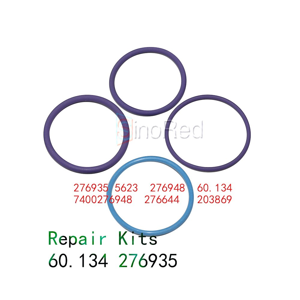 High Quality Fuel Pump Repair Kit 60.134 276935 5623 276948 7400276948 276644 203869 Matching Diesel Common Rail Pump