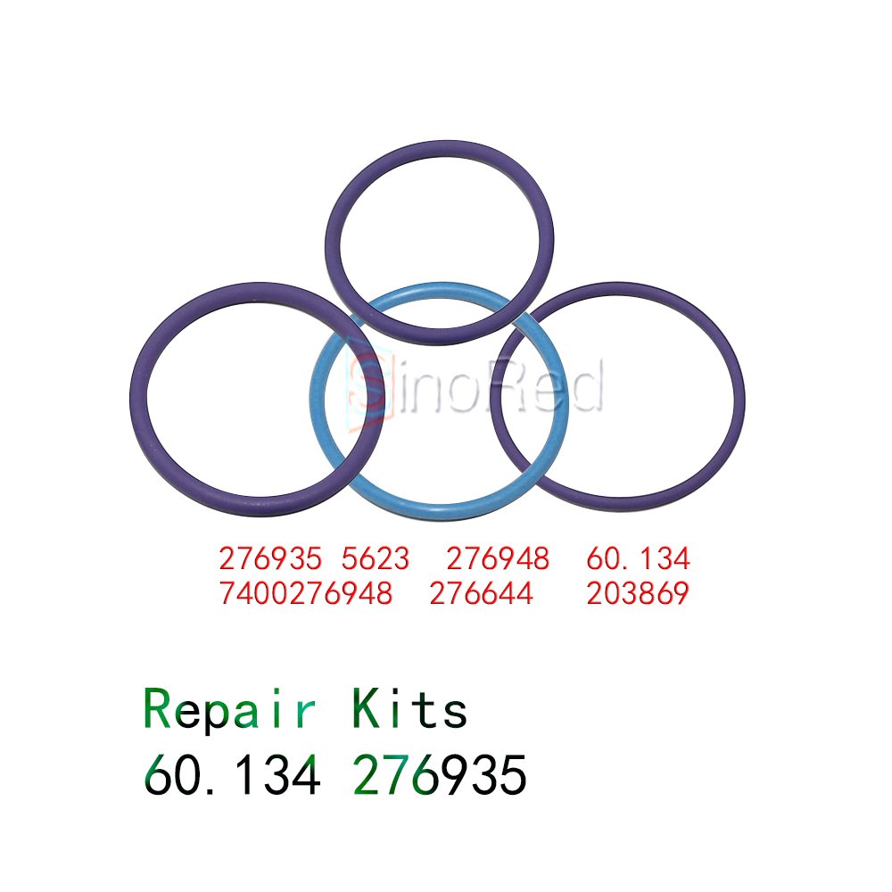 High Quality Fuel Pump Repair Kit 60.134 276935 5623 276948 7400276948 276644 203869 Matching Diesel Common Rail Pump