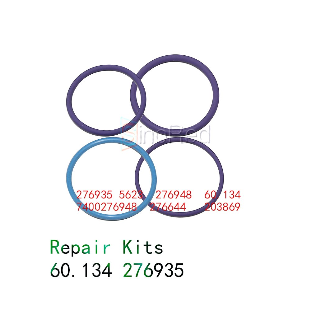 High Quality Fuel Pump Repair Kit 60.134 276935 5623 276948 7400276948 276644 203869 Matching Diesel Common Rail Pump