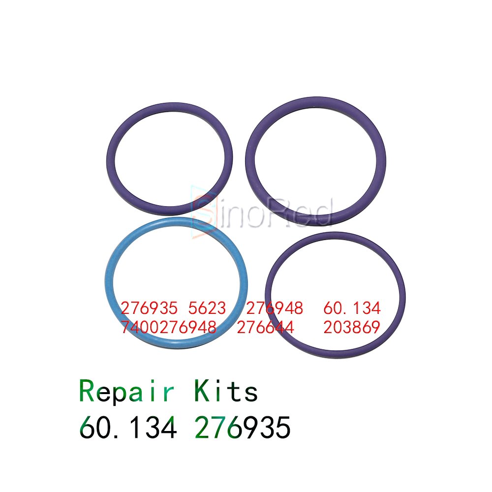 High Quality Fuel Pump Repair Kit 60.134 276935 5623 276948 7400276948 276644 203869 Matching Diesel Common Rail Pump