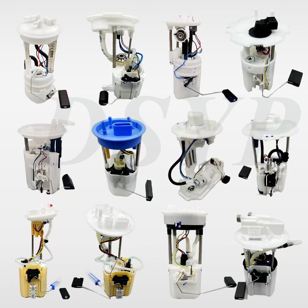 DSYP Auto Parts Fuel Pump Assembly For Hyundai Toyota Honda Nissan Volkswagen Audi Benz BMW Ford chevrolet Mitsubishi Mazda