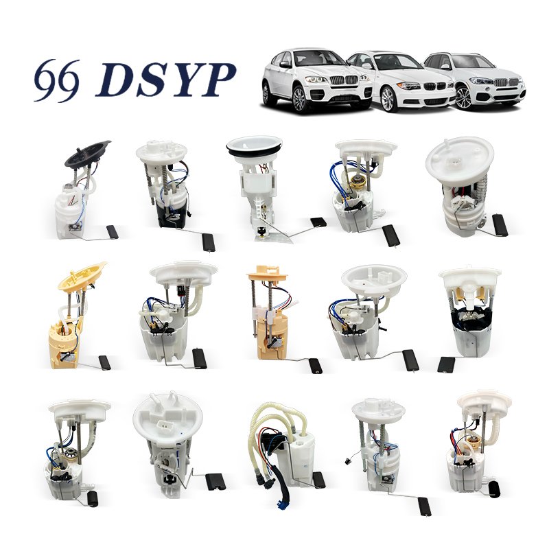 DSYP Auto Parts Fuel Pump Assembly For Hyundai Toyota Honda Nissan Volkswagen Audi Benz BMW Ford chevrolet Mitsubishi Mazda