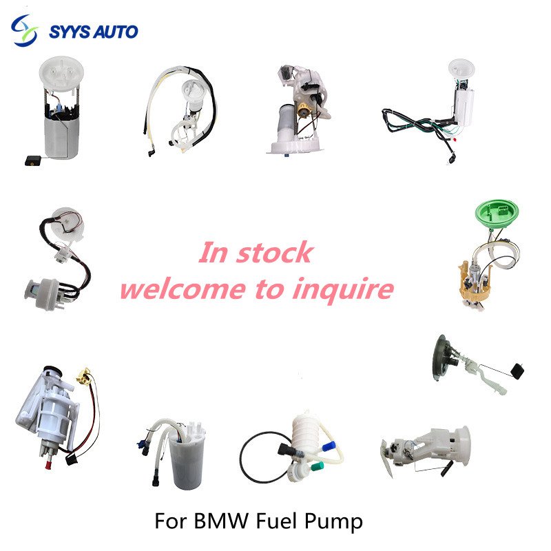 Quality guarantee Electric Fuel Pump Assembly For BMW