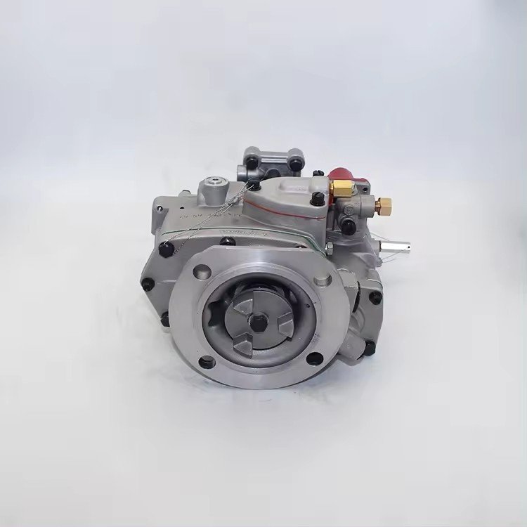 In Stock 4060975 4061438 4999463 3347702 3655654 4999466 Pt Fuel Pump