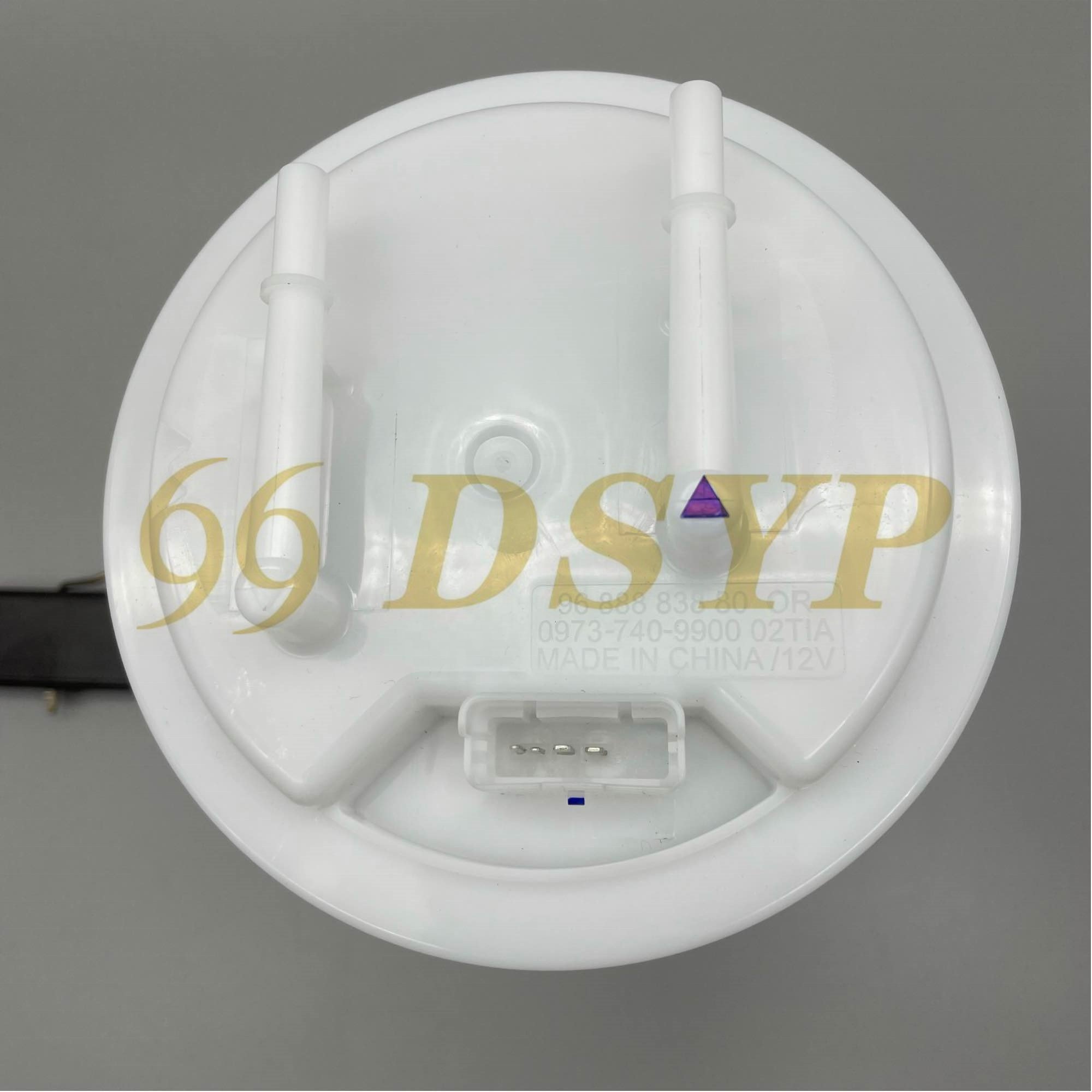 Auto Parts Fuel Pump Assembly 9670251480 For Peugeot Citroen C4 307 308 1.6/2.0T DSYP ZCBZ004