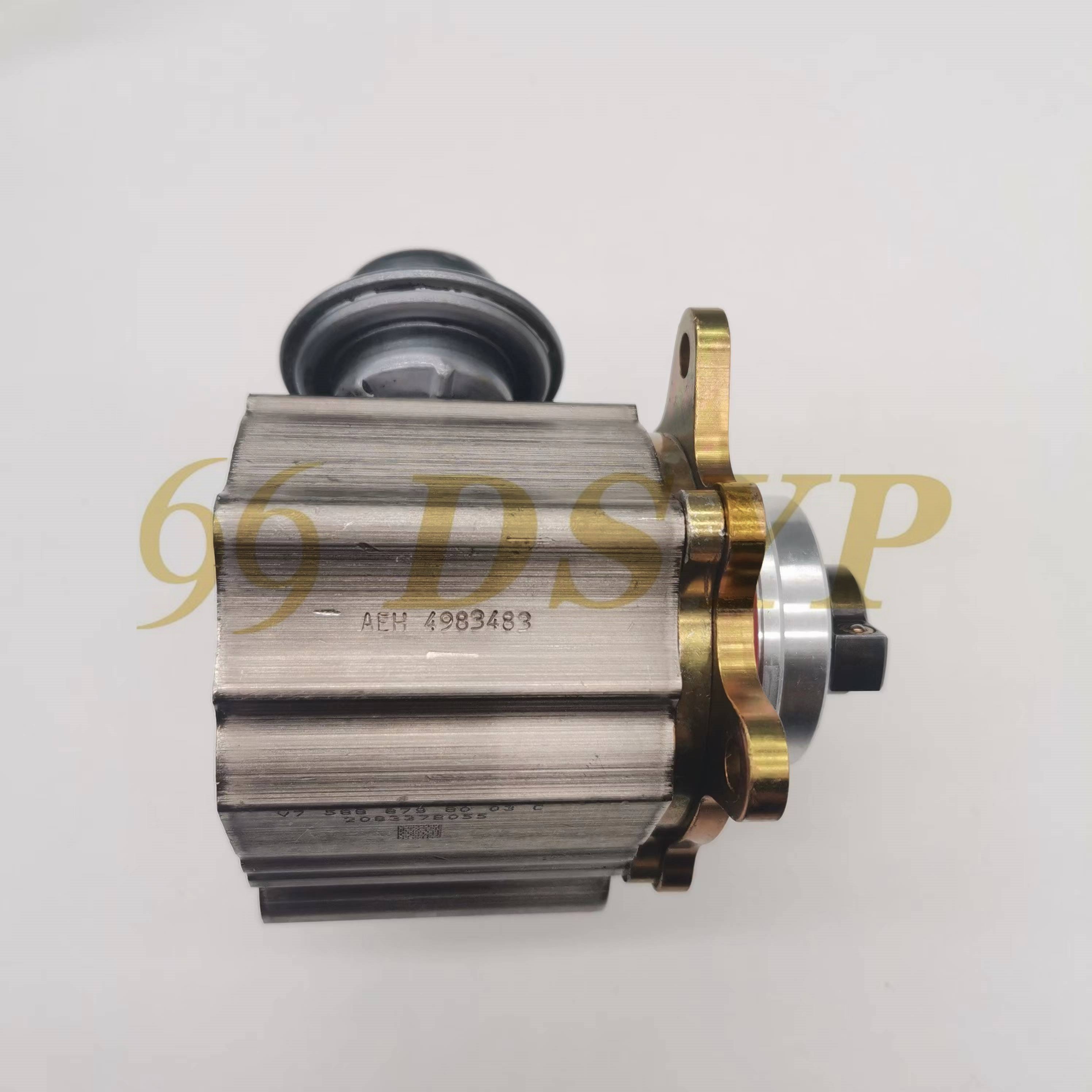 DSYP GYBBZ008 Auto Parts High Pressure Fuel Pump 9819938480 For Peugeot 3008 Citroen C4L 1.6T