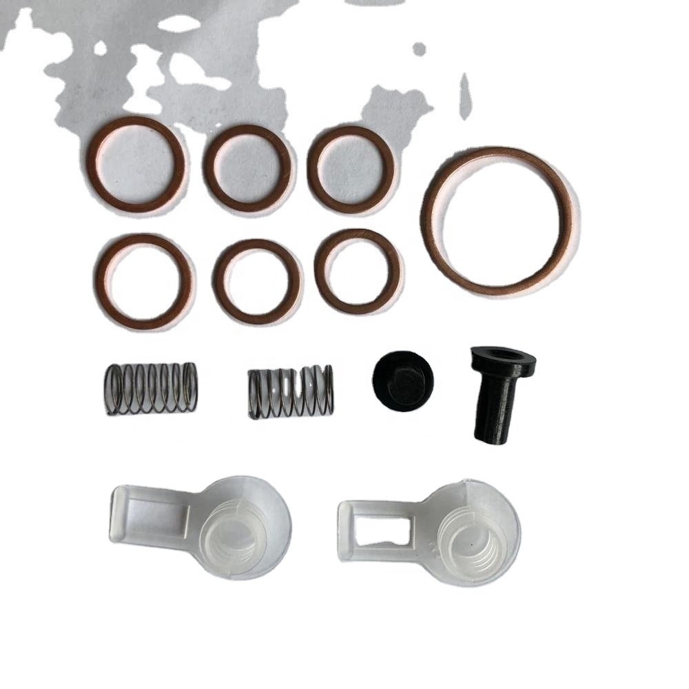 Diesel injector pump repair kits Feed pump 2447010011