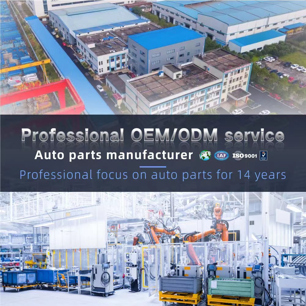 03H127025S 03H127025G 03H127025N 03H127025R Auto Engine Parts High Pressure Fuel Pump Injection Fuel Pump For VW Magotan CC3.0