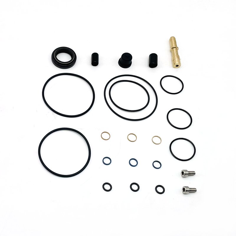 Diesel common rail fuel injection pump overhaul repair Kits 891869 for VDO Siemens fuel injector pump