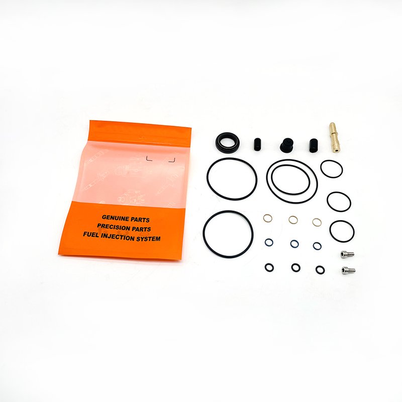Diesel common rail fuel injection pump overhaul repair Kits 891869 for VDO Siemens fuel injector pump