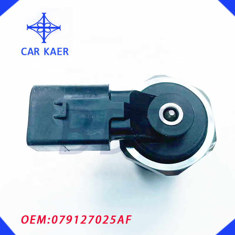 Badatong High Pressure Fuel Pump 079127025C LEFT Fits For AUDI A6 A8 VW Touareg 4.2L 2006 079127025AF